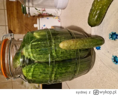 sydnej - Ale se dryblasy ukisiłem, nie to co te p------i ze sklepu.
#swiatwedlugkieps...