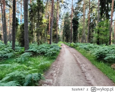 Szafek7 - 443 444 + 46 = 443 490

W tym miesiącu: 136

#rowerowyrownik

Skrypt | Stat...