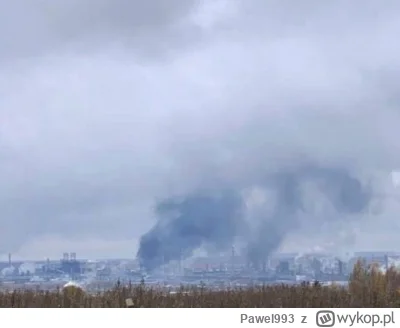 Pawel993 - @Pawel993: