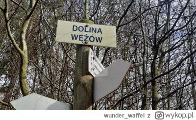 wunder_waffel - Chociażbym biegał ciemną doliną,
zła się nie ulęknę...

#bieganie