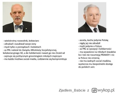 Zjadlem_Babcie - Virgin Korwin i Chad Kaczyński. #heheszki #konfederacja #polityka
