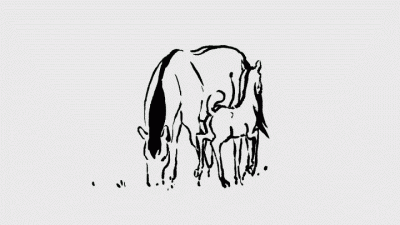 GARN - #sztuka #art #animacja autor: Anaïs Mirliaz