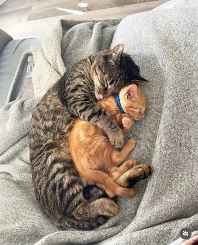 dodi-lukebakio - #teczowepaski me and who?...