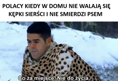 pieknylowca - #takaprawda #pies #polska #psiarze