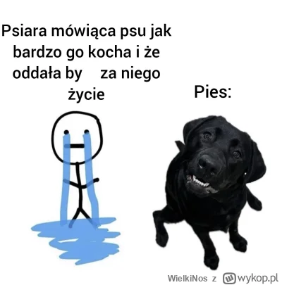 WielkiNos - @Pszehooy typowa psia madeczka.