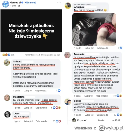 WielkiNos - Ależ się obrońcy pitbulli spłakali, że goniec pisząc artykuł o zagryzieni...