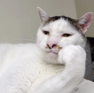 Soothsayer - @vieniasn: niektórzy to mają dobrze