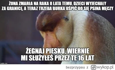 bezprzypau - #heheszki #feels