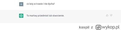 kaspil - Technologia przyszłości, proszę państwa.