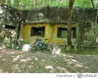 DopraRypa - 261 926 + 179 + 2 + 239 + 12 + 126 = 262 484

Ostatnie jazdy.

Total ex...