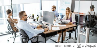 pearl_jamik - #biznes #programista15k #it #praca #pracbaza #genzie #zetki #z #gospoda...