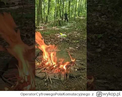 OperatorCyfrowegoPolaKomutacyjnego - @curiousboi: Przyjdzie w-------y sąsiad i ci pou...