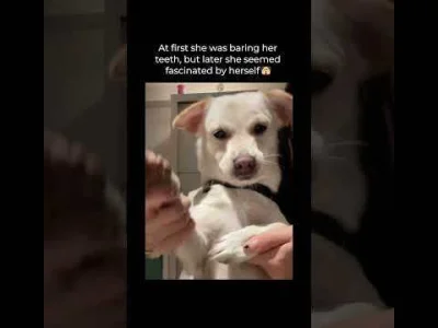 serniczekwiedensky - Wow te ruchy piesku