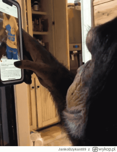 JankoBzykant89 - Lubię sobie po robocie przeglądać rolki
#przegryw