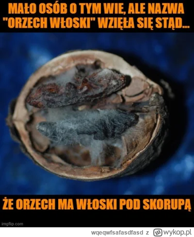 wqeqwfsafasdfasd - Fajne takie, miękkie i muskają podniebienie ( ͡°( ͡° ͜ʖ( ͡° ͜ʖ ͡°)...