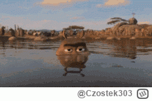 Czostek303 - @Kopytnik_1: Ciągnie do grubego