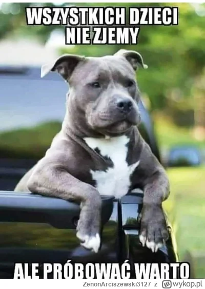 ZenonArciszewski3127