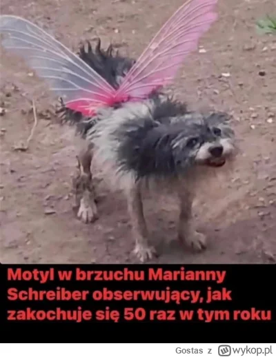 Gostas - #heheszki #humorobrazkowy