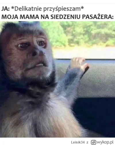 Leisik34 - #heheszki #humorobrazkowy #motoryzacja