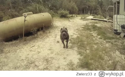 Zwierz33 - 344 864 + 55 = 344 919
Huopa dawno nie było, a pedauował trochę. A łoni n...