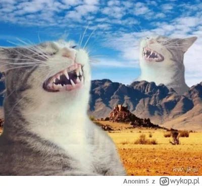 Anonim5 - #przegryw