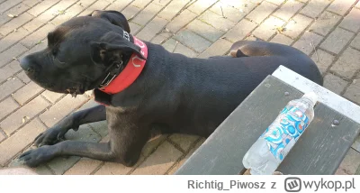 RichtigPiwosz - @RichtigPiwosz: