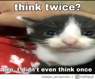 stulejan_perspective