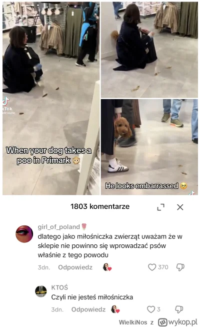 WielkiNos - Ktoś nagrał jak pies się wysrał w sklepie (video tu). Według psiarzy poni...