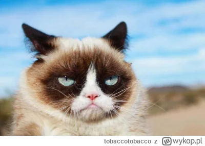 tobaccotobacco - @Charlie666: wychowałem się na p---------u jakoby to Final Fantasy 7...