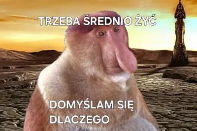 Sirius_Son - #konkursnanajbardziejgownianymemznosaczem