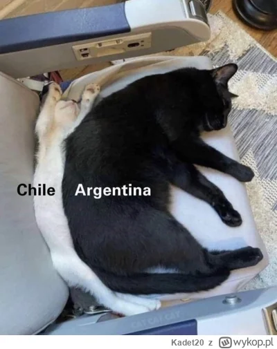 Kadet20 - Argentina is white ! ( ͡° ͜ʖ ͡°)

#mapporn #mapy #heheszki #argentyna #chil...