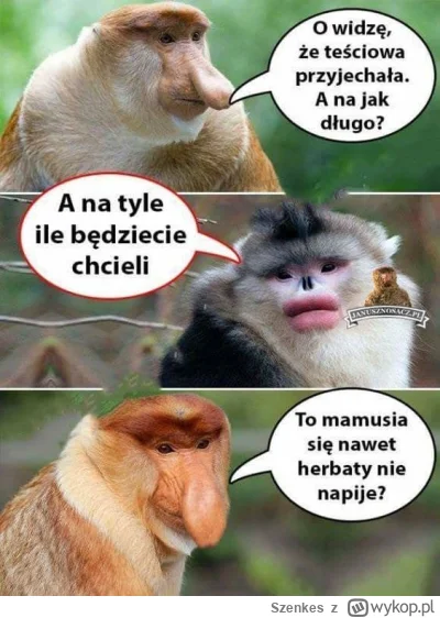 Szenkes - #polak #polskiedomy #humorobrazkowy #konkursnanajbardziejgownianymemznosacz...