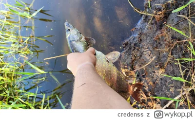 credenss - #wedkarstwo 

Jest i pierwszy szczupły dzisiaj