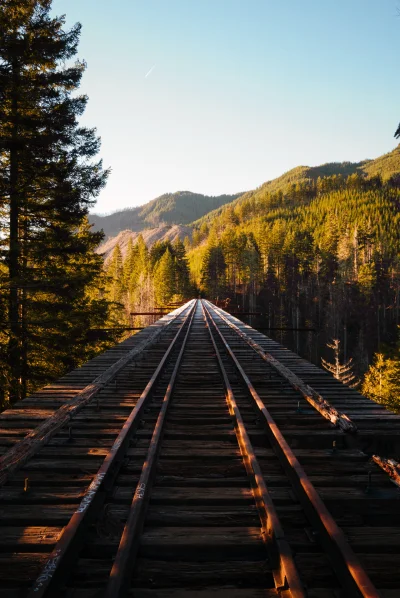 wariat_zwariowany - Vance Creek Bridge most w Satsop Hills w hrabstwie Mason w stanie...