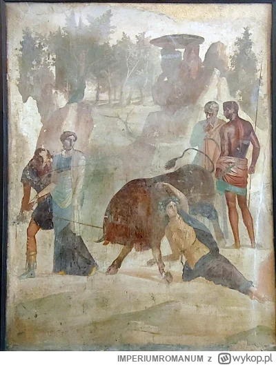 IMPERIUMROMANUM - Rzymski fresk ukazujący Dirke przywiązaną do rogów byka

Rzymski fr...