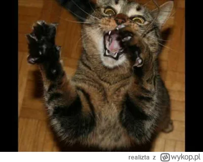 realizta - @ruskizydek: The Syntetic !
SPOILER