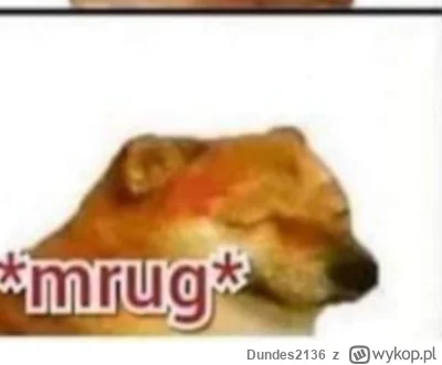 Dundes2136 - @Jakub_Kusy