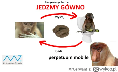 MrGerwant - @zeszyt-w-kratke: Nie rozpowszechniaj propagandy żula Szczurów