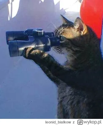 leonid_bialkow - @wfyokyga: poczekaj no