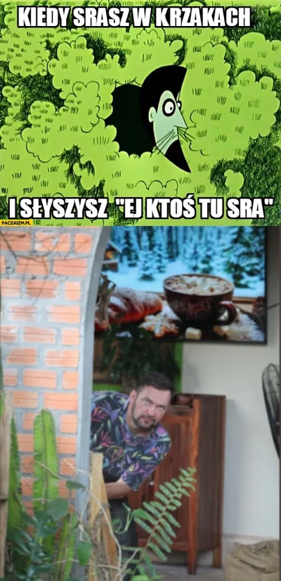 ryhu - #raportzpanstwasrodka