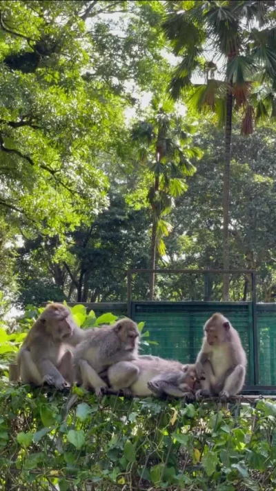 new-object - Za pomocą AI, analizuje filmiki. Ot taka praca.

I jest taki filmik użyt...