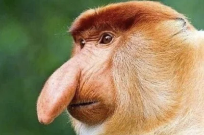 assninja - Mamy to, #tesla poniżej 300 sie zaświeciła xD

limituje jednak heheszki bo...