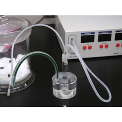 Neocaridina - W #NYC  Nowym Jorku jest 36 milionów szczurów. Zakładając ze połowa to ...