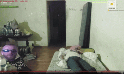 spreparowany - @piSSowiec39: