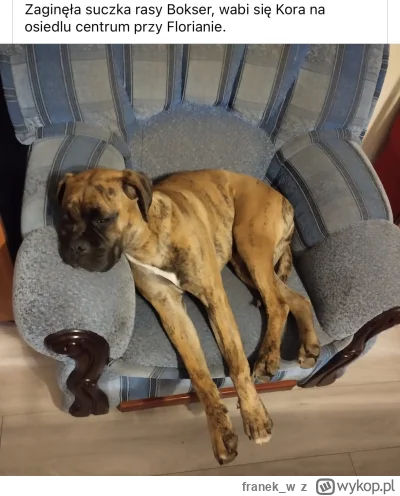 franek_w - #fredikamionka #jacekjaworek