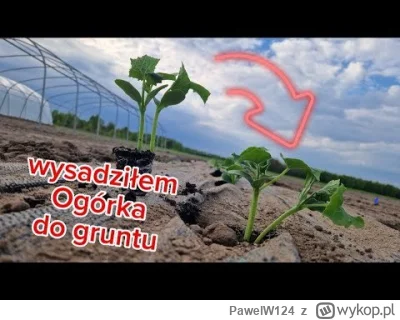 PawelW124 - #rolnictwo #ogrodnictwo #ogrod