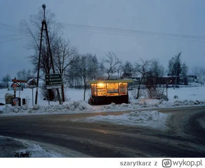 szarytkarz - Autor: Marek Power 
#fotografia