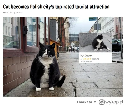 Heekate - xD
https://notesfrompoland.com/2023/02/09/cat-becomes-polish-citys-top-rate...