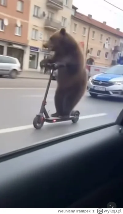 WeunianyTrampek - @wfyokyga nawet mi nie mów. Ostatnio mnie taki jeden wyprzedzał