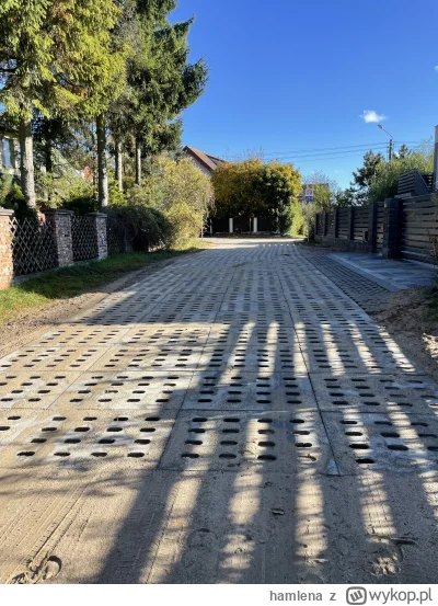 hamlena - Mirki! Cholera jasna! Ile taki kawałek utwardzonej drogi płytami może koszt...
